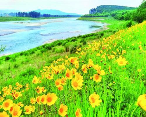 太子河畔邂逅詩(shī)意“花廊”